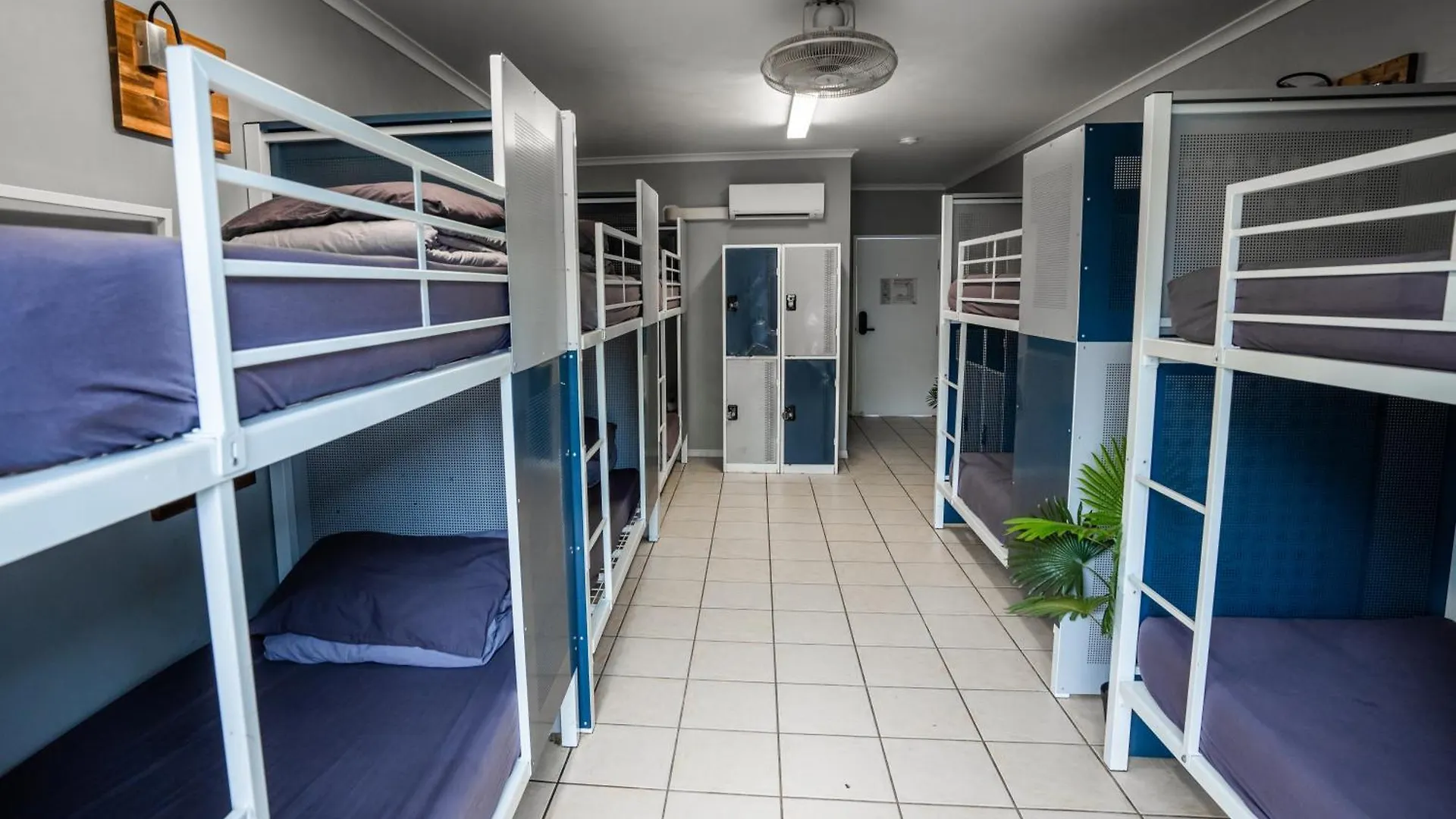 Hostal Albergue Mad Monkey Jungle Cairns Australia
